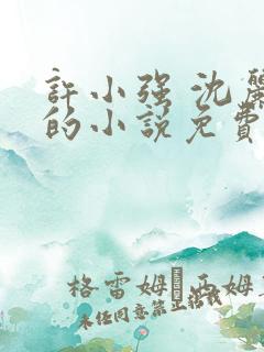 许小强 沈丽娟的小说免费阅读