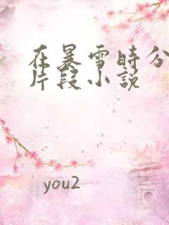 在暴雪时分高能片段小说