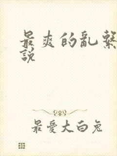 最爽的乱系列小说