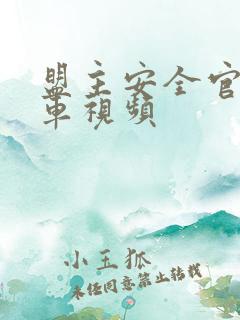 盟主安全官开火车视频