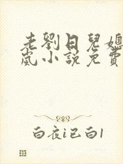 老刘日儿媳妇张岚小说免费阅读