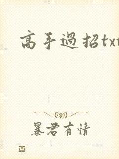 高手过招txt