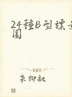 24种B型标意图