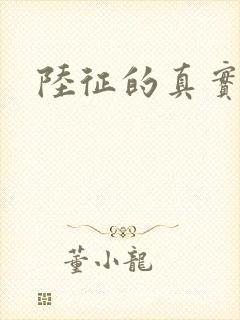 陆征的真实身份