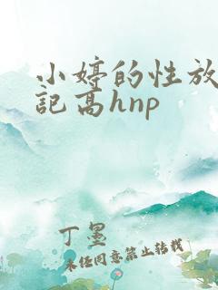 小婷的性放荡日记高hnp