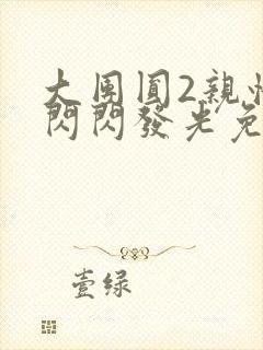 大团圆2亲情会闪闪发光免费