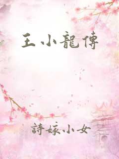 王小龙传