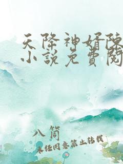 天降神婿陈黄皮小说免费阅读