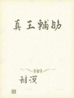 真王辅助