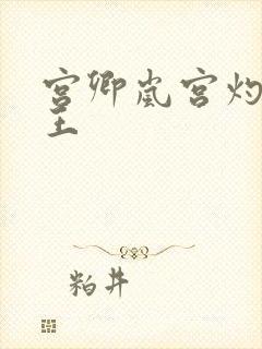 宫卿岚宫灼摄政王