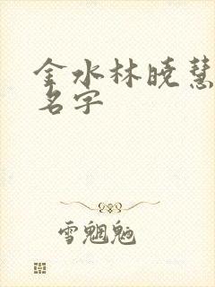 金水林晓慧小说名字