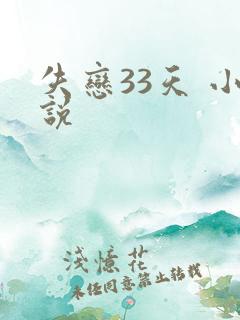 失恋33天 小说