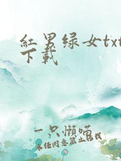 红男绿女txt下载