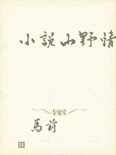 小说山野情债