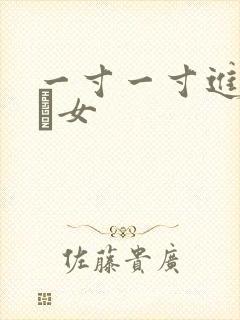 一寸一寸进入小姪女