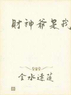 财神爷是我老板