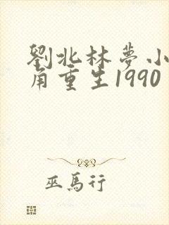 刘北林梦小说主角重生1990