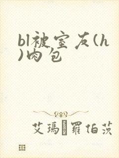 bl被室友(h)肉包