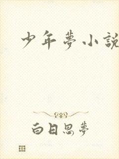 少年梦小说
