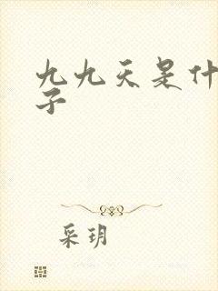 九九天是什么日子