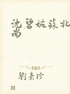 沈碧婉苏北宸和尚