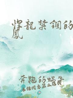 悍龙禁锢的小野凤