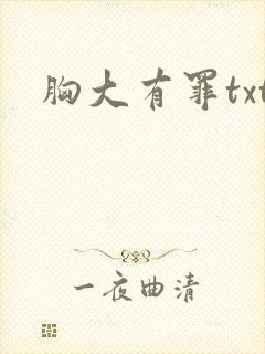胸大有罪txt