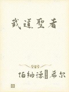 武道圣者