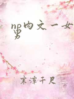 np肉文一女多男