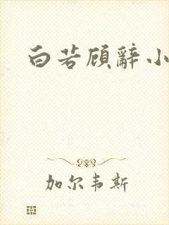 白若顾辞小说