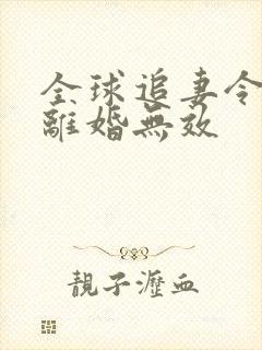 全球追妻令老婆离婚无效