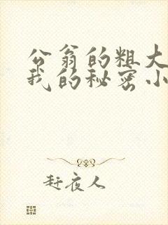 公翁的粗大放进我的秘密小说