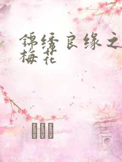 锦绣良缘之驿寄梅花