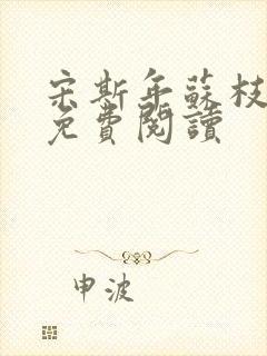 宋斯年苏枝小说免费阅读