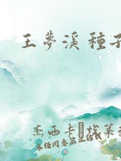 王梦溪 种子