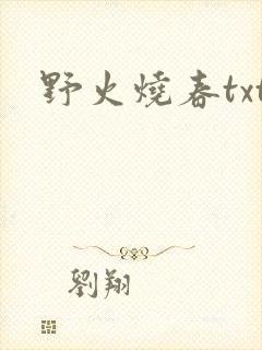 野火烧春txt