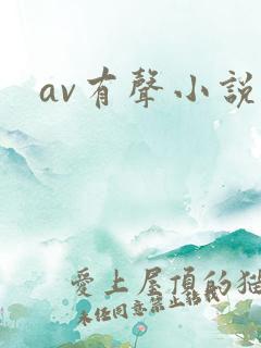 av有声小说