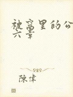 被窝里的公息第六章