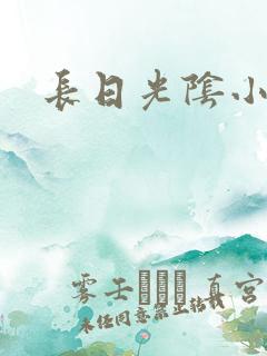长日光阴小说