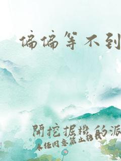 偏偏等不到小说