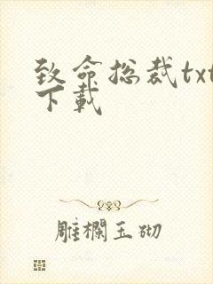 致命总裁txt下载