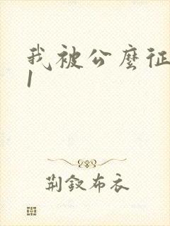 我被公么征服了1