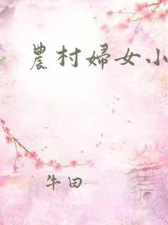 农村妇女小说