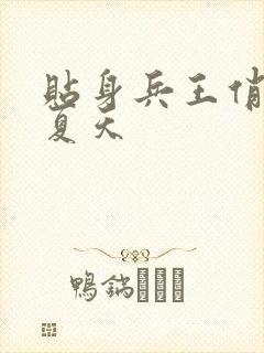 贴身兵王俏总裁夏天