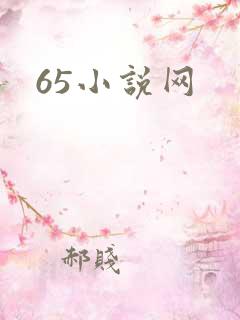 65小说网