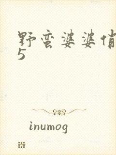 野蛮婆婆俏媳妇5