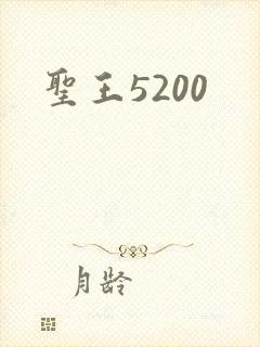 圣王5200
