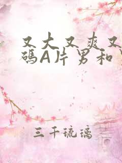 又大又爽又黄无码A片男和男