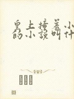 皇上撞着小公主的小说叫什么