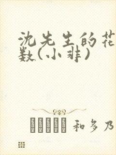 沈先生的花式调数(小非)